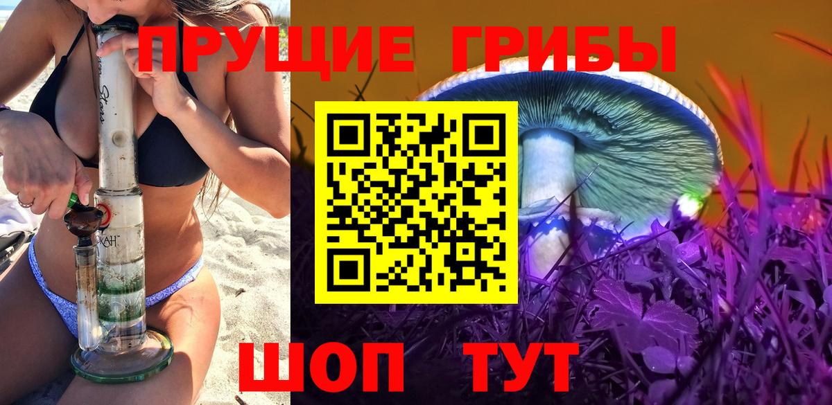 Псилоцибиновые грибы мухоморы  как найти наркотики  Киселёвск  Галлюциногенные грибы Psilocybe  Вход с VPN 