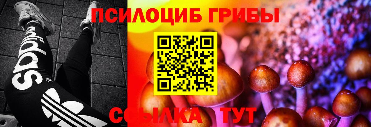 Псилоцибиновые грибы Magic Shrooms Киселёвск